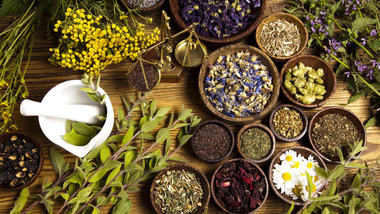 Properly Extracting Nutrients From Herbs- Water Extraction