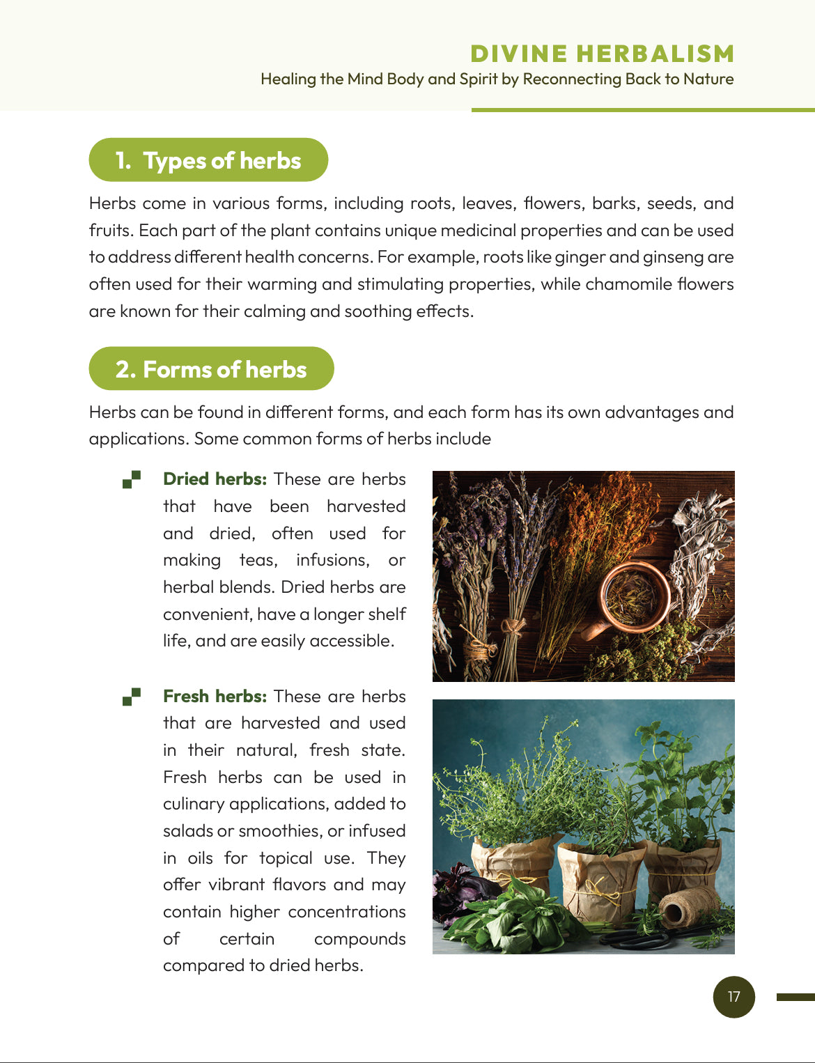Divine Herbalism Book