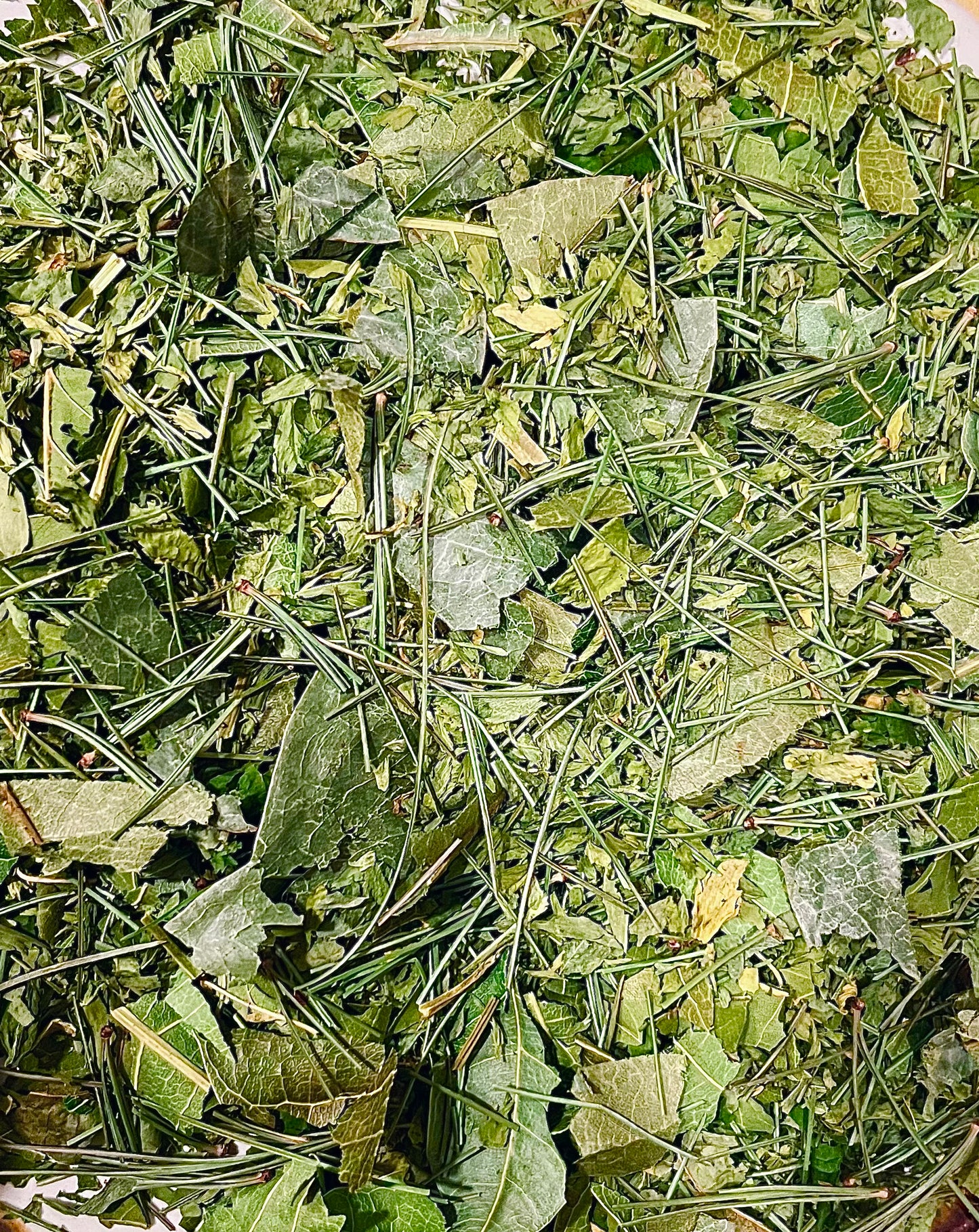 *New* Green Goddess