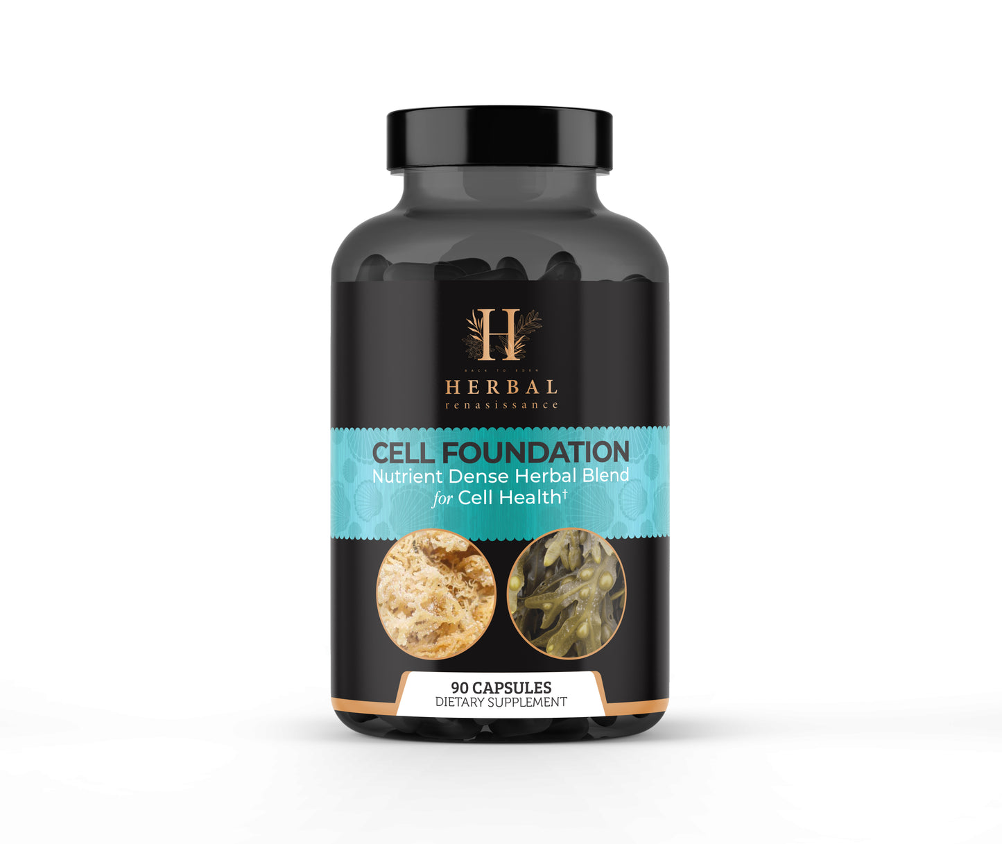 Cell Foundation