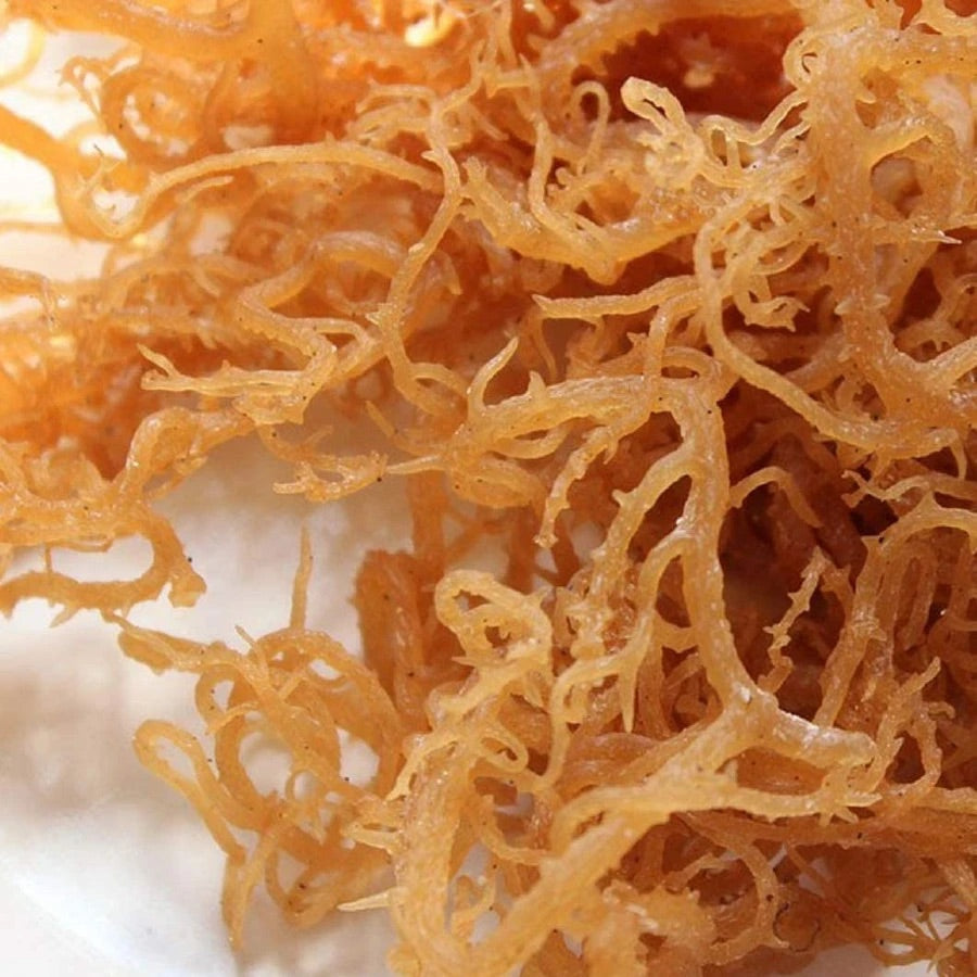 Sea Moss Package