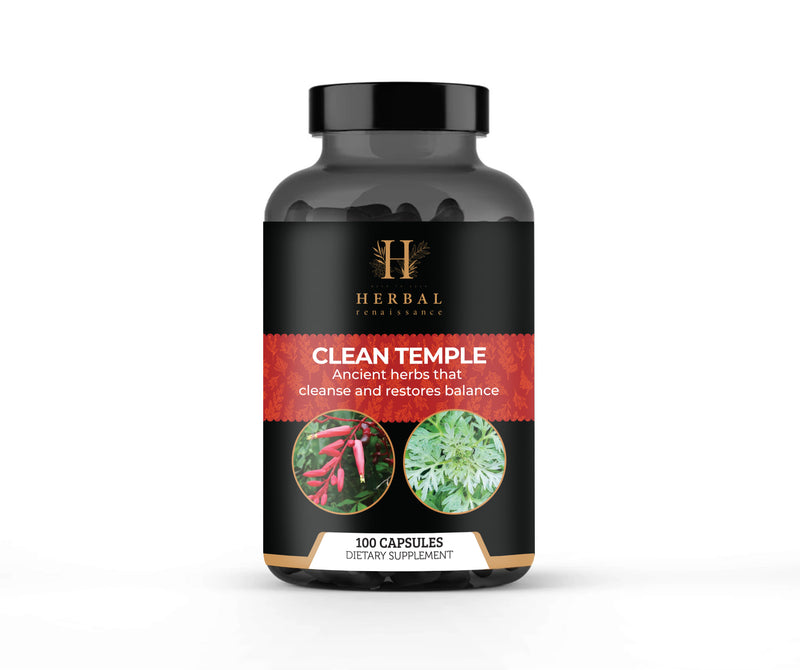 New Clean Temple 1.202.000₫