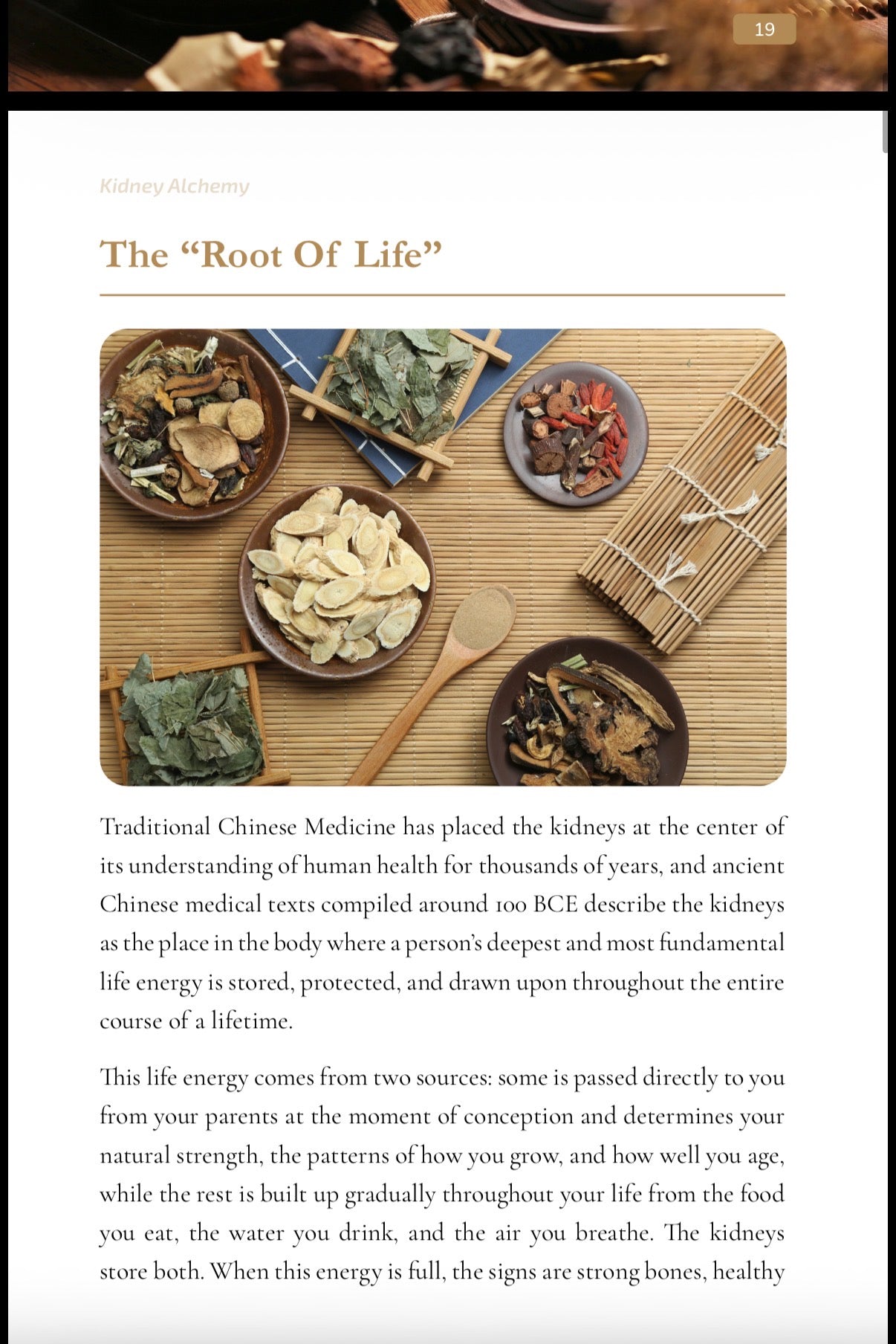 Kidney Alchemy Ebook