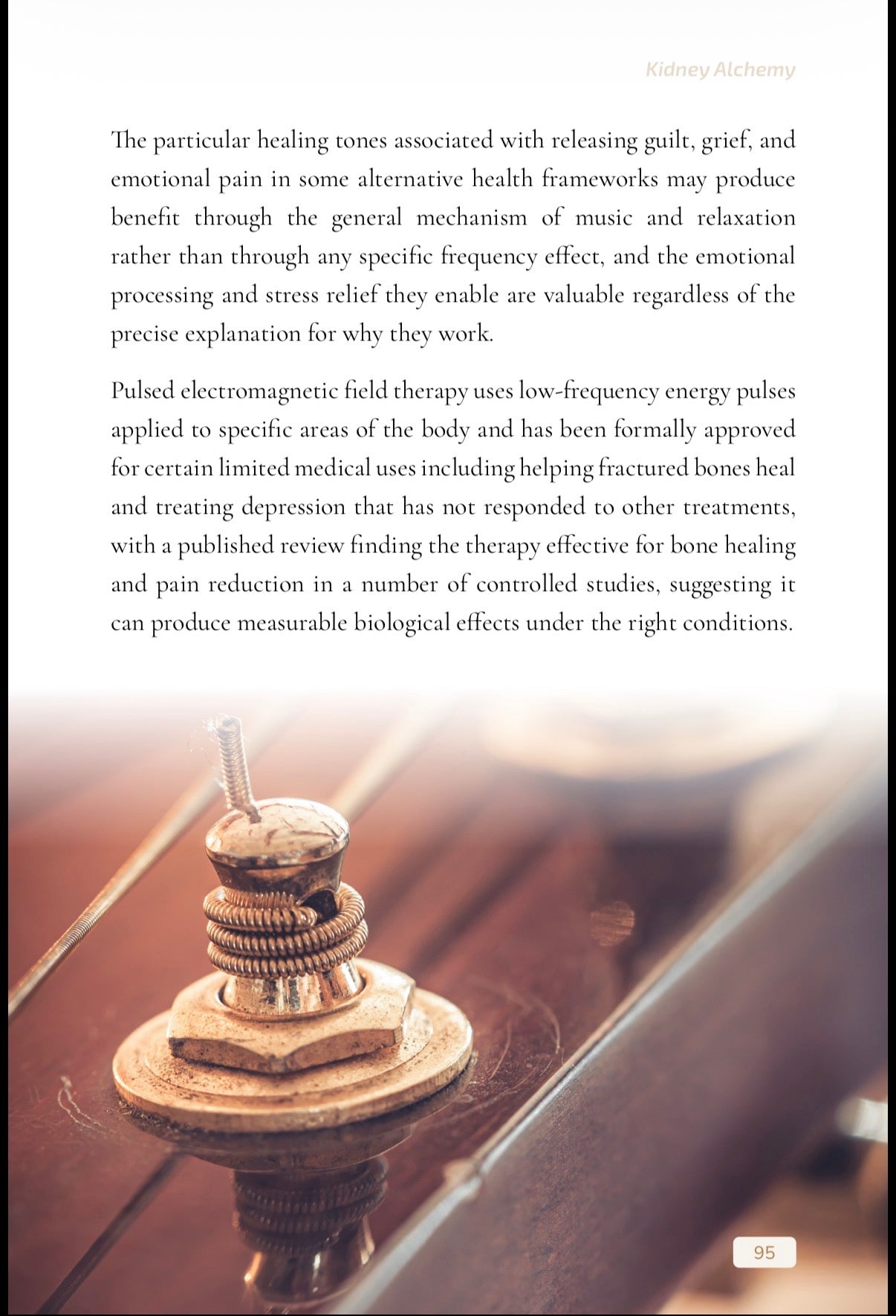 Kidney Alchemy Ebook