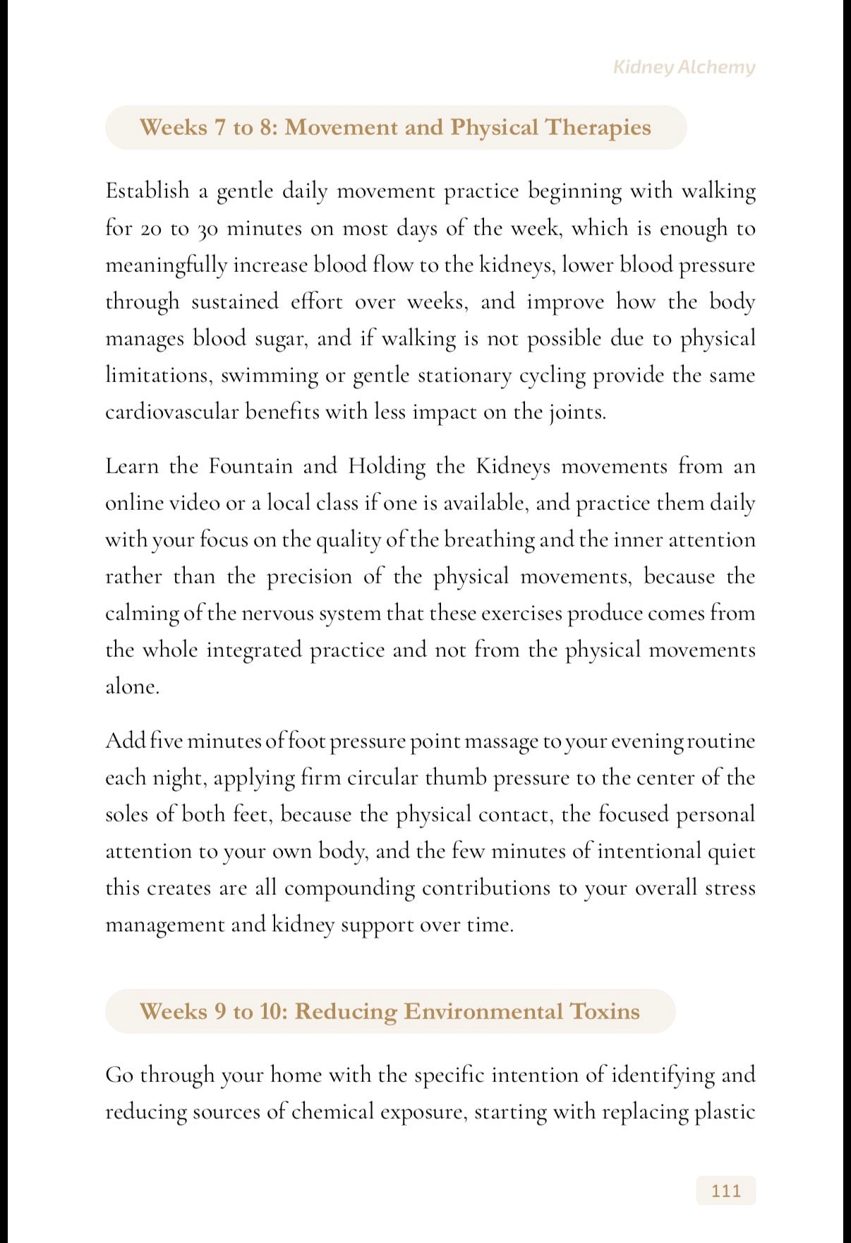 Kidney Alchemy Ebook