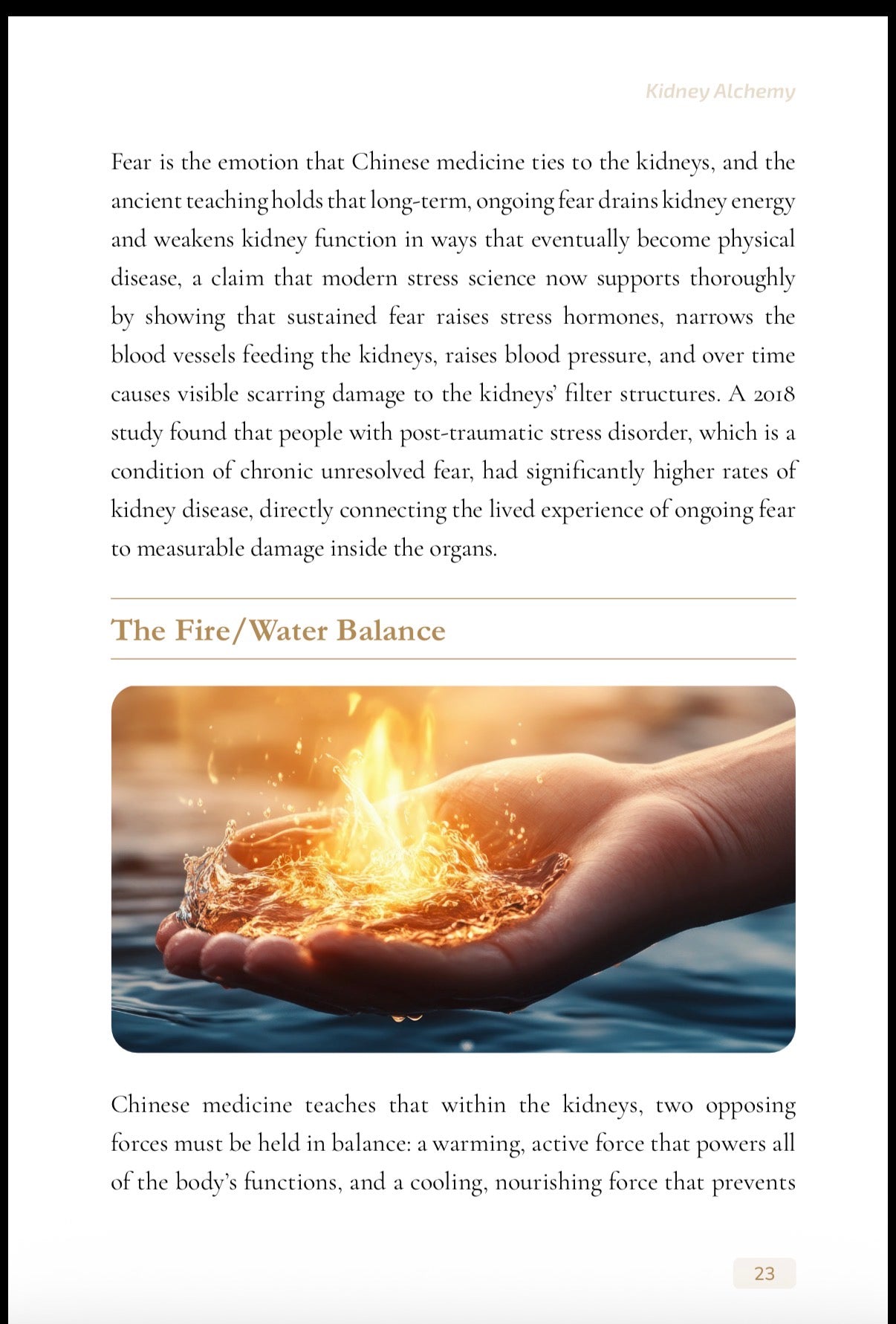 Kidney Alchemy Ebook