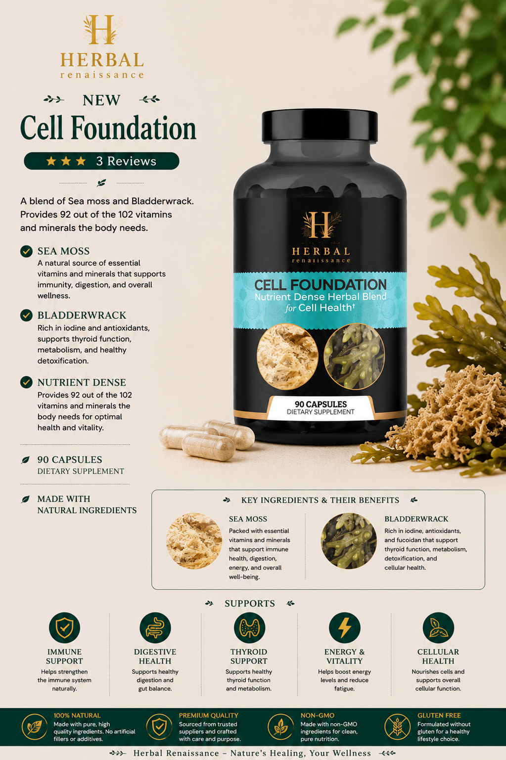 Cell Foundation