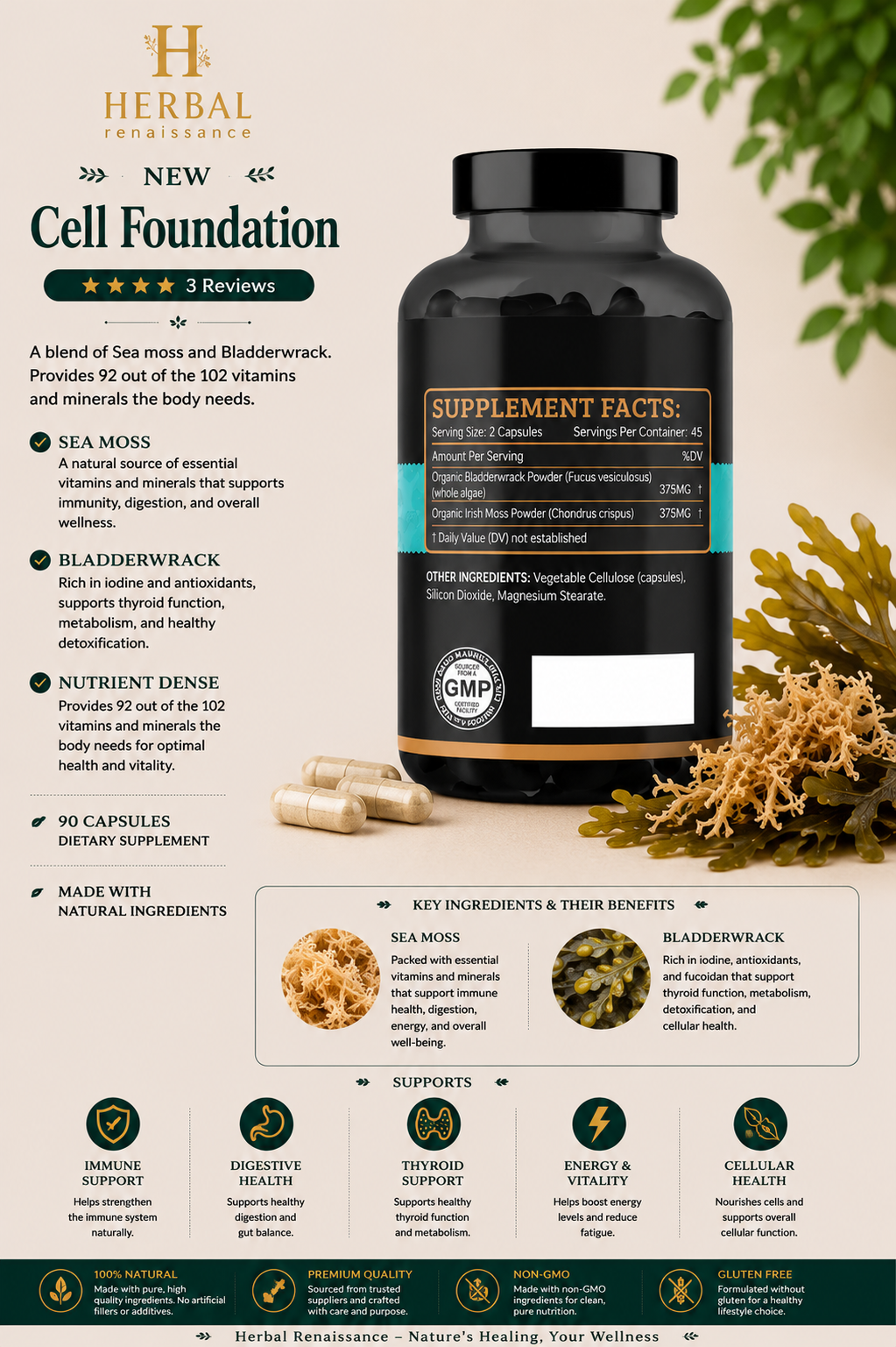 Cell Foundation