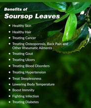 Load image into Gallery viewer, Soursop Leaves