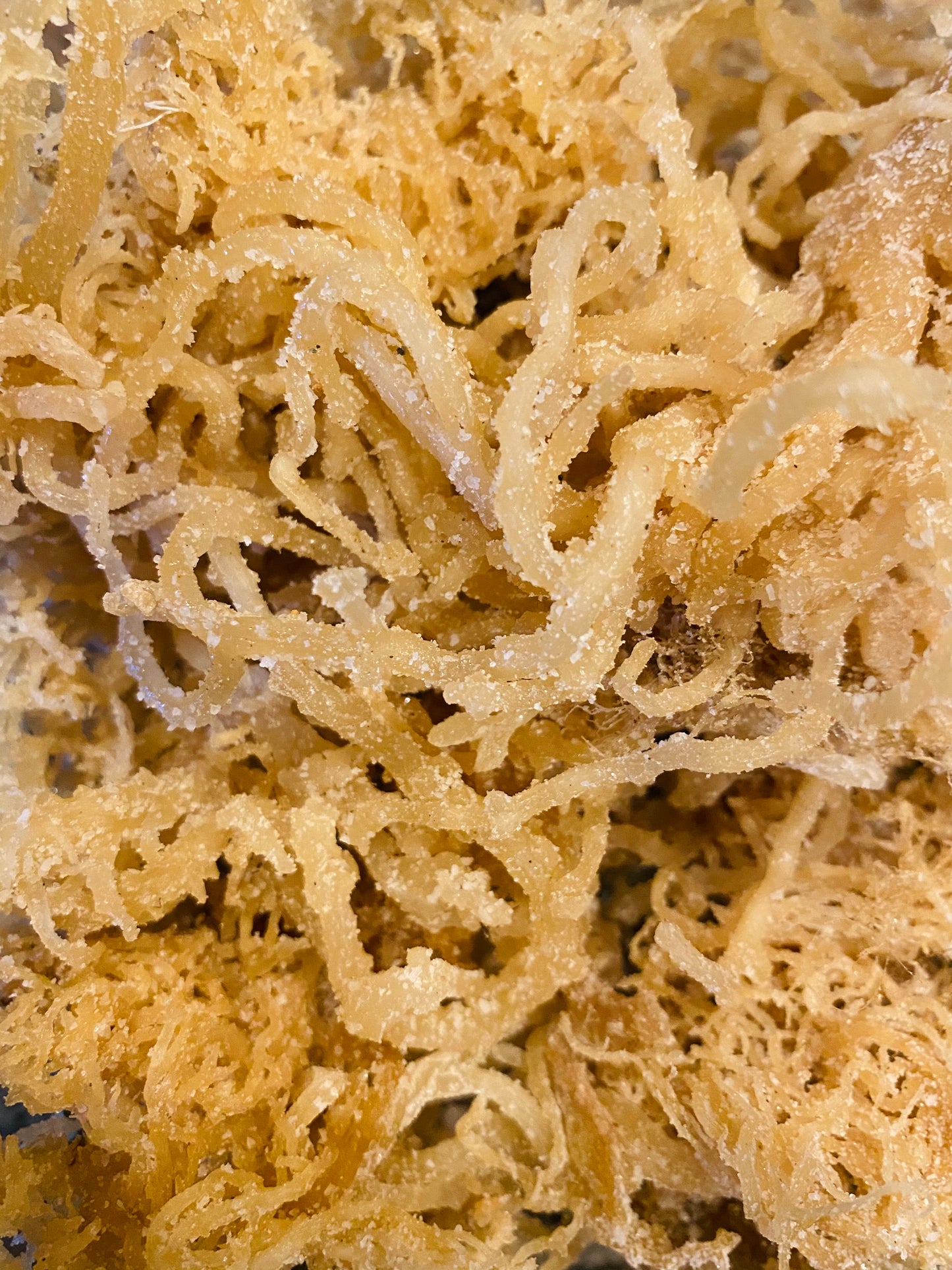 Wildcrafted Sea Moss