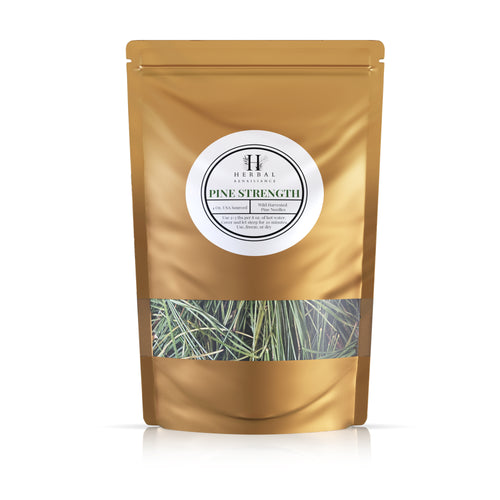 Fresh Pine Needles